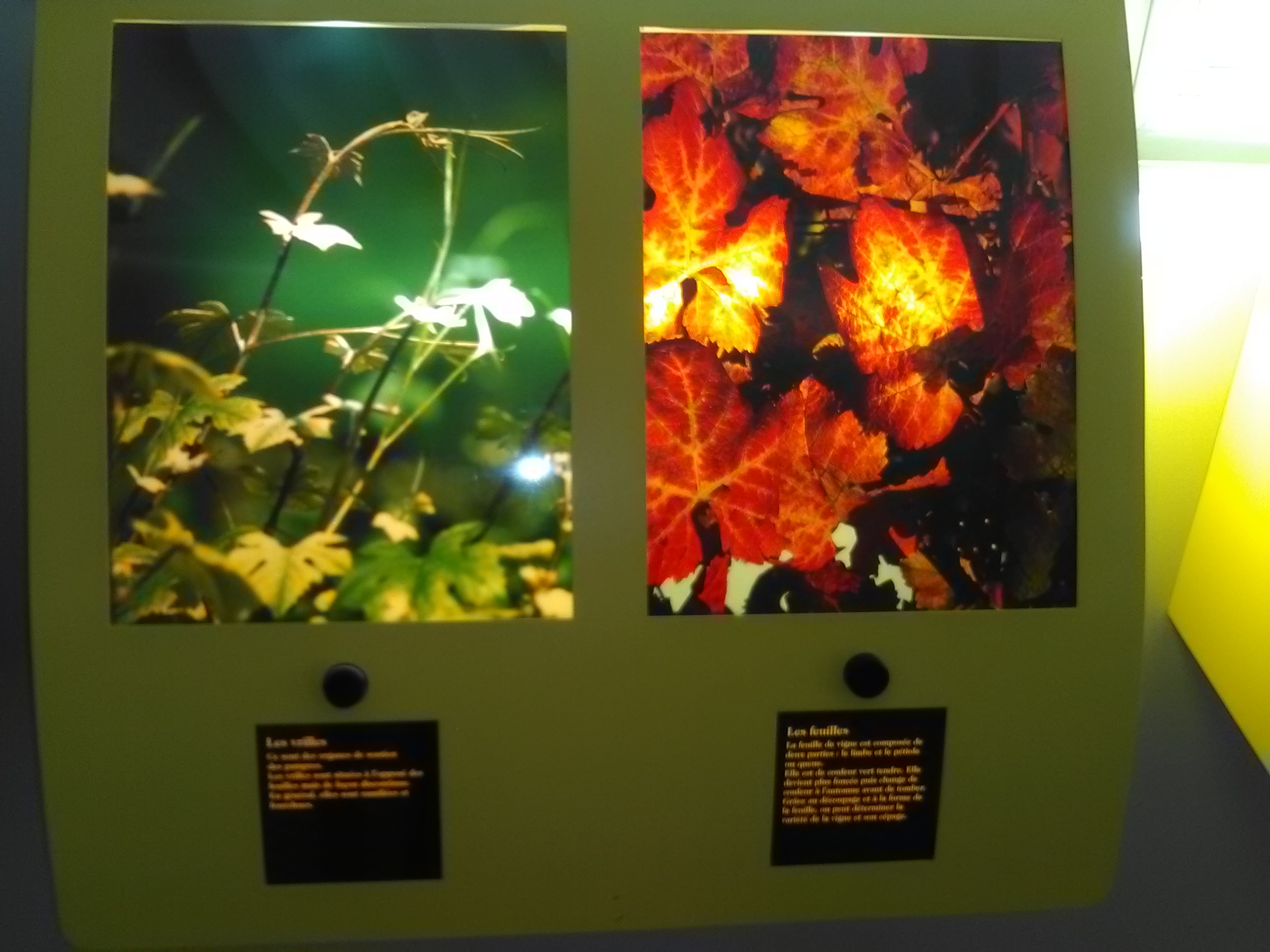 Photo n° 23 de l'avis de Athéna.e fait le 15/08/2017 à 06:29