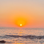 Photo n°2 de l'avis de Eva.s fait le 29/08/2022 à 12:56 sur le  Brasão Salgueiros à Vila Nova de Gaia