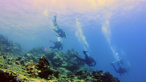 Deep Blue Diving Club