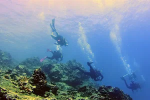 Deep Blue Diving Club image