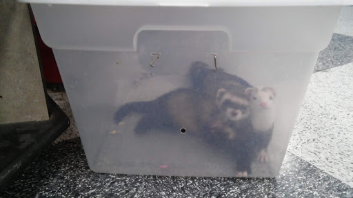 Pet Supply Store «Petco Animal Supplies», reviews and photos, 10060 US Highway 40 G-150, Ellicott City, MD 21042, USA