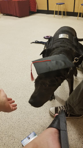 Pet Supply Store «PetSmart», reviews and photos, 1130 SE Everett Mall Way, Everett, WA 98208, USA