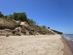 Zdjęcie Central Beach położony w naturalnym obszarze