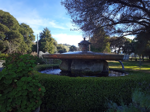 Brewery «Anderson Valley Brewing Co», reviews and photos, 17700 Boonville Rd, Boonville, CA 95415, USA