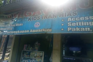 KIOS IKAN HIAS ALGAVIRIUM image