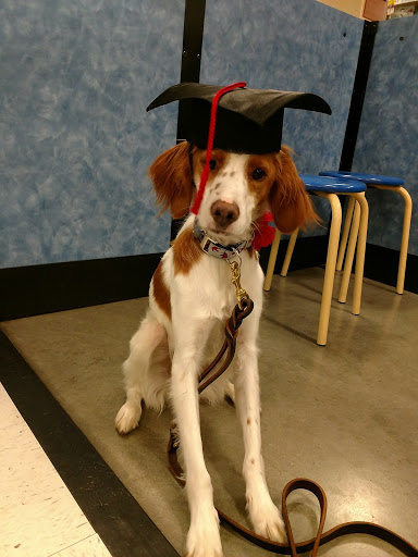 Pet Supply Store «PetSmart», reviews and photos, 240 N Gates Dr, Bloomington, IN 47404, USA