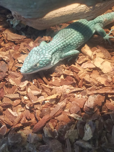 Pet Supply Store «D & D Pet Center», reviews and photos, 8813 Michigan Ave, Detroit, MI 48210, USA