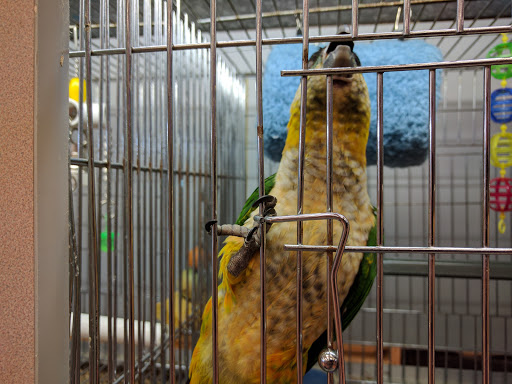 Pet Store «The Pet Pad», reviews and photos, 1239 NW Maynard Rd, Cary, NC 27513, USA