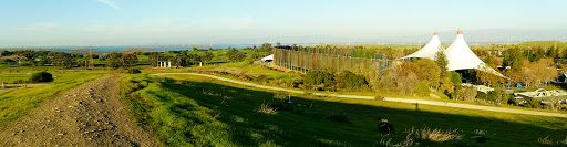 Event Venue «Shoreline Amphitheatre», reviews and photos, 1 Amphitheatre Pkwy, Mountain View, CA 94043, USA