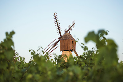 Domaine Laureau à Savennières