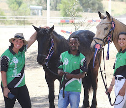 MAESTRO Equestrian Centre photo