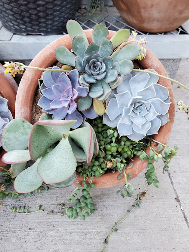 Home Improvement Store «The Home Depot», reviews and photos, 5995 Eldorado Pkwy, Frisco, TX 75034, USA