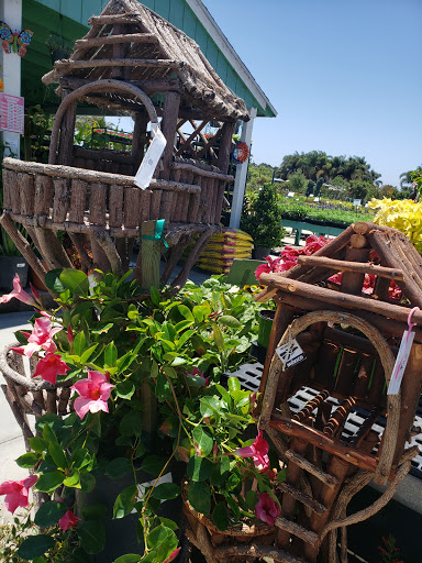 Terra Bella Nursery, Inc. image