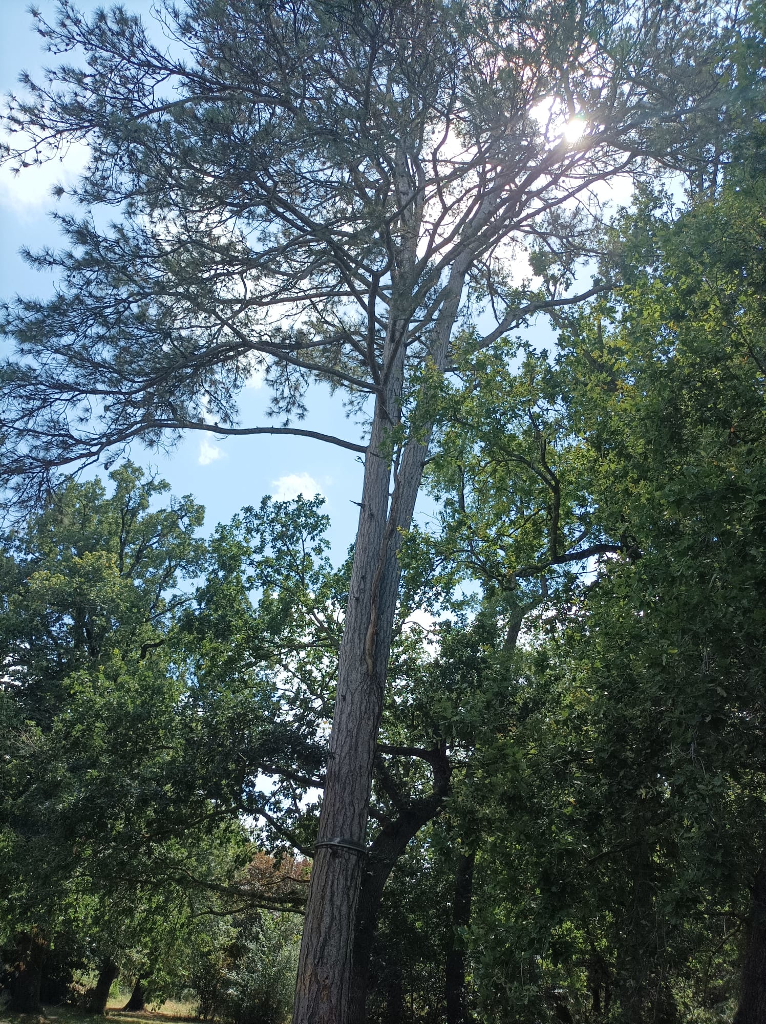Photo n° 3 de l'avis de Titou.6 fait le 15/08/2023 à 18:14
