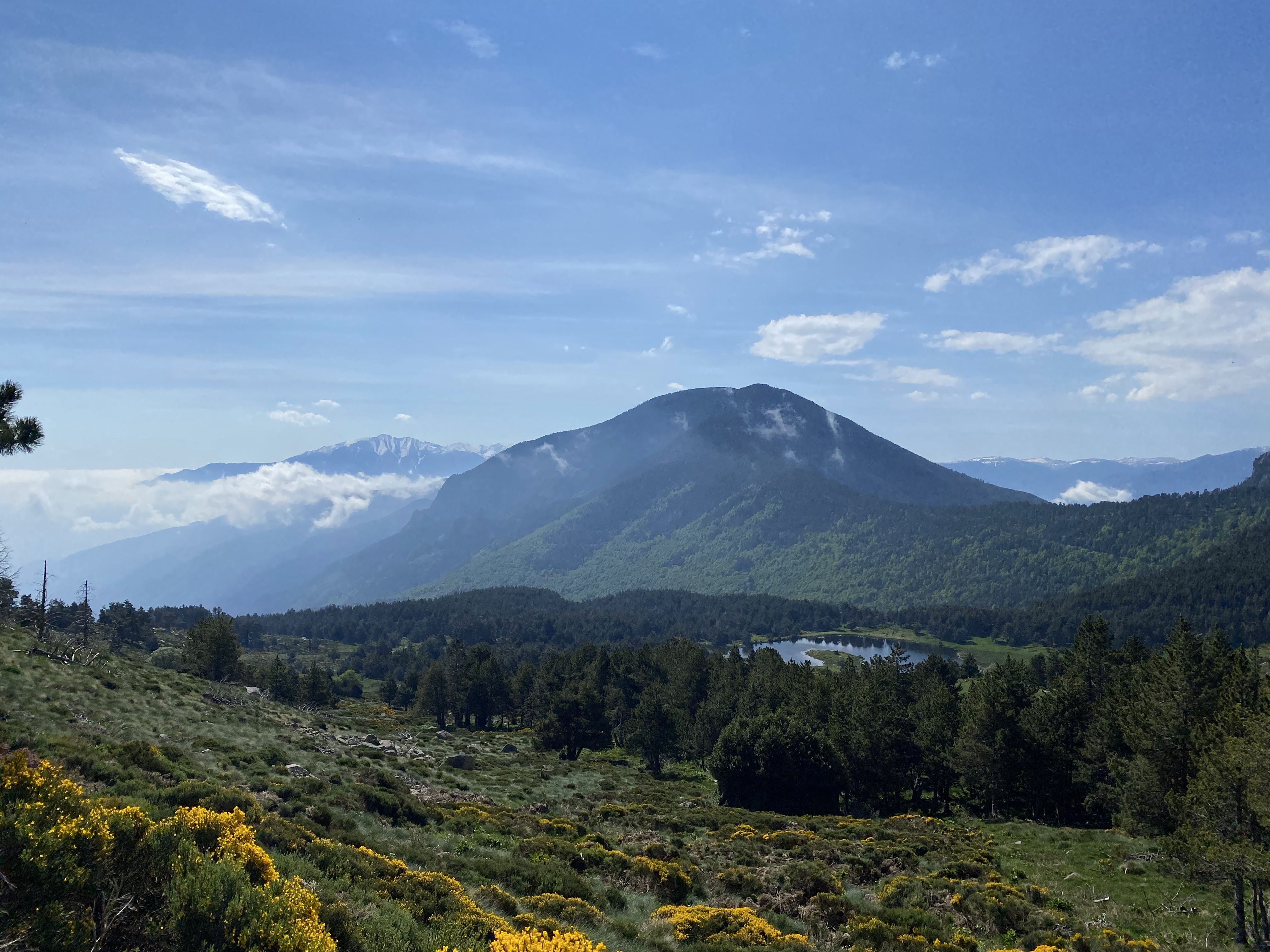 Photo n° 16 de l'avis de Aurélien.H fait le 24/05/2020 à 13:29