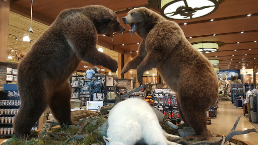 Outdoor Sports Store «Field & Stream», reviews and photos, 2075 Interchange Rd, Erie, PA 16509, USA