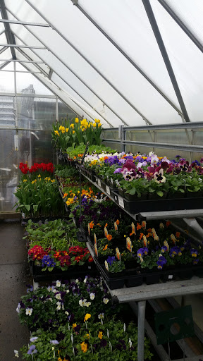 Garden Center «Grange Co-op: Coos Bay», reviews and photos, 1085 S 2nd St, Coos Bay, OR 97420, USA