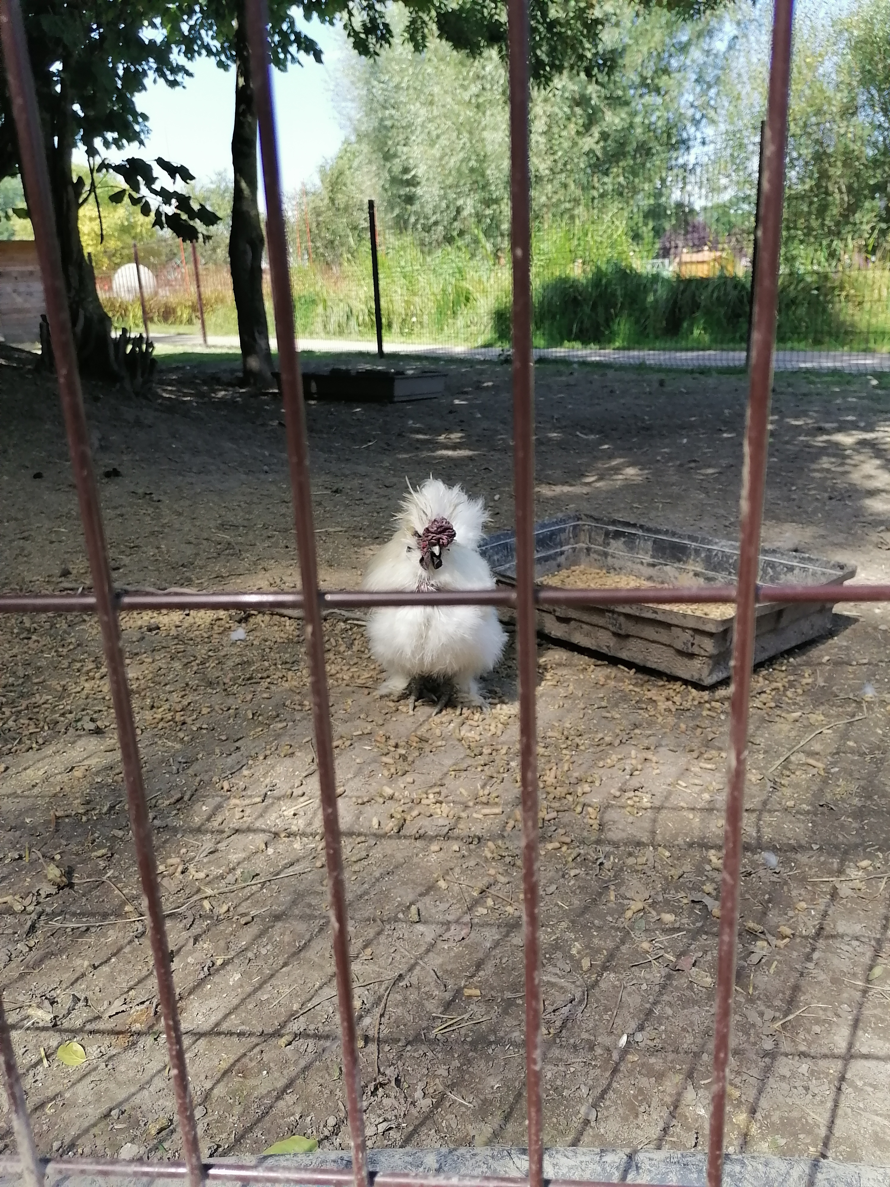 Photo n° 4 de l'avis de Sabrina. fait le 16/08/2023 à 13:07