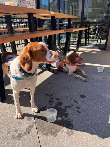 Peoples Town Coffee Bar