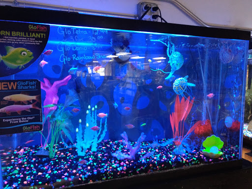 Pet Supply Store «Coral Reef», reviews and photos, 625 W Agency Rd, West Burlington, IA 52655, USA