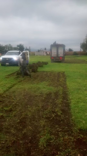 Proveedores de pasto en rollo