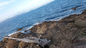 Photo n°27 de L Emeraude à Fréjus ()