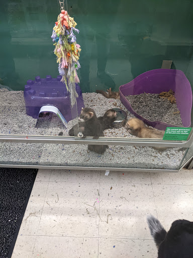 Pet Store «Petsway», reviews and photos, 1717 W Kearney St, Springfield, MO 65803, USA