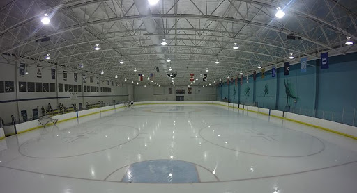 Ice skating club Cary