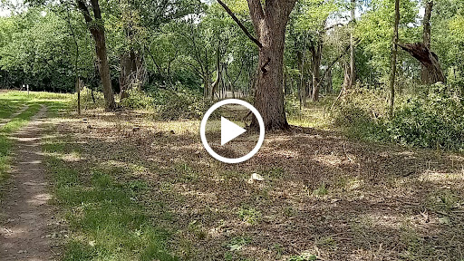 Park «Lake Elmo Park Reserve», reviews and photos, 1515 Keats Ave N, Lake Elmo, MN 55042, USA