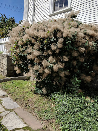Historical Place Museum «Historic New England Governor John Langdon House», reviews and photos, 143 Pleasant St, Portsmouth, NH 03801, USA