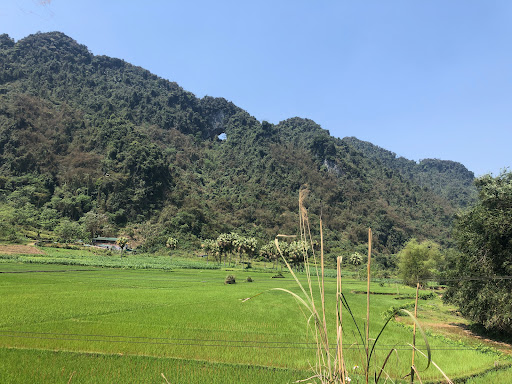 Top 20 cửa hàng bán thảm Huyện Vị Xuyên Hà Giang 2022