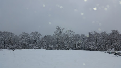 Golf Course «Wood Creek Golf Course», reviews and photos, 9080 Executive Club Dr, Delmar, MD 21875, USA