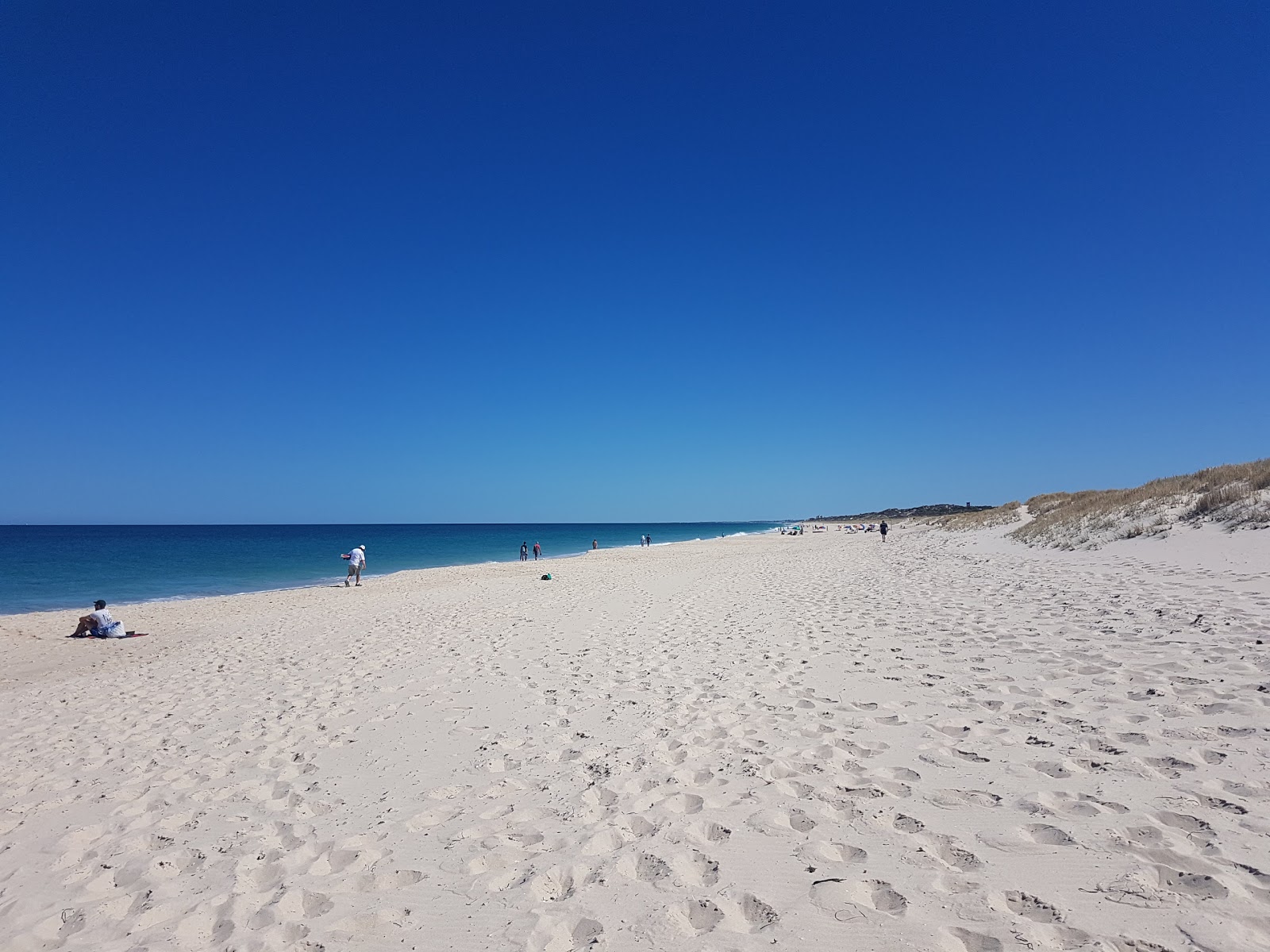 Swanbourne Beach的照片 带有长直海岸