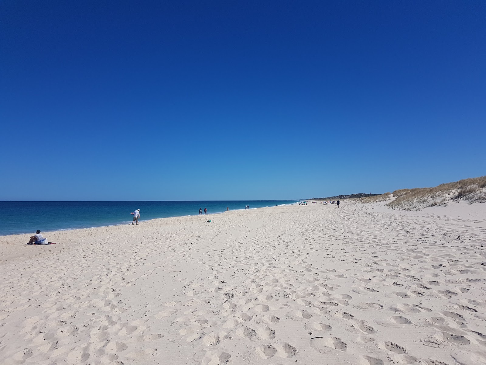 Photo de Swanbourne Beach avec un niveau de propreté de très propre