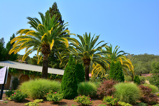 Winery «Beringer Vineyards», reviews and photos, 2000 Main St, St Helena, CA 94574, USA