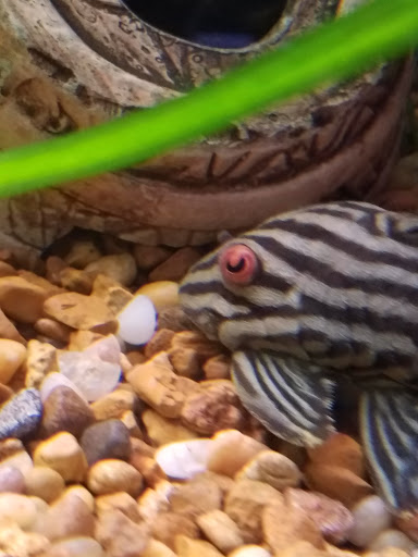 Pet Supply Store «Pet Quarters», reviews and photos, 486 Payne Rd, Scarborough, ME 04074, USA