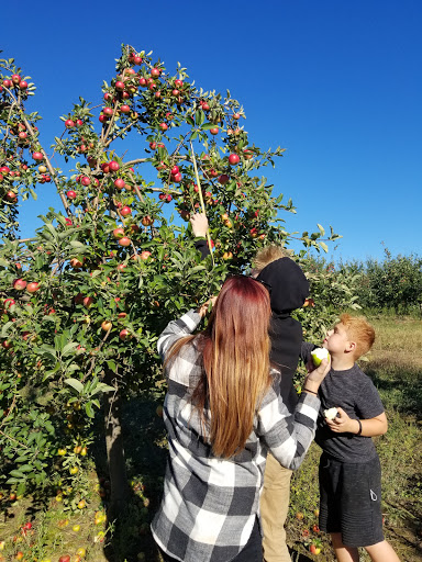 Winery «Echo Hill Orchards & Winery», reviews and photos, 101 Wilbraham Rd, Monson, MA 01057, USA