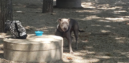 Park «Union Street Dog Park», reviews and photos, 59 Fair St, New Haven, CT 06511, USA