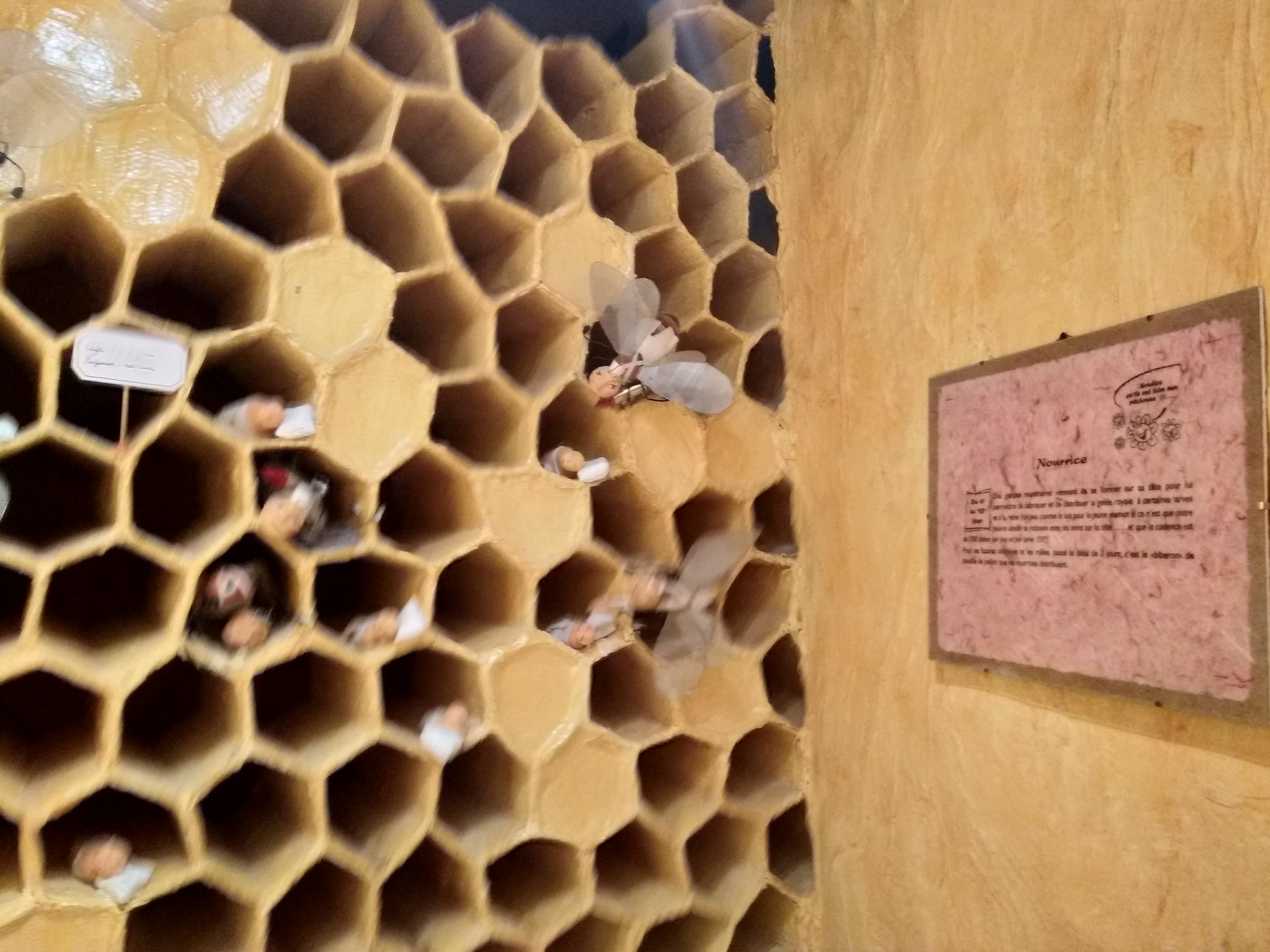 Photo n° 2 de l'avis de Y. fait le 14/11/2018 à 16:23