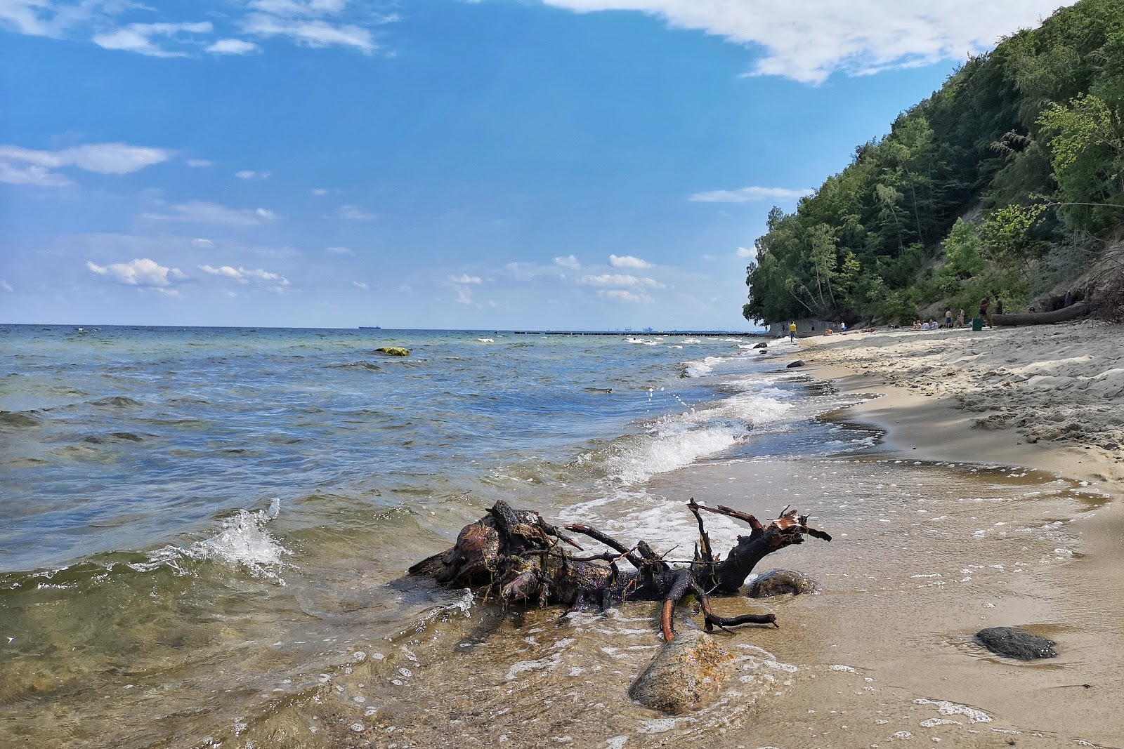 Photo de Redlowo wild Beach avec un rivage spacieux