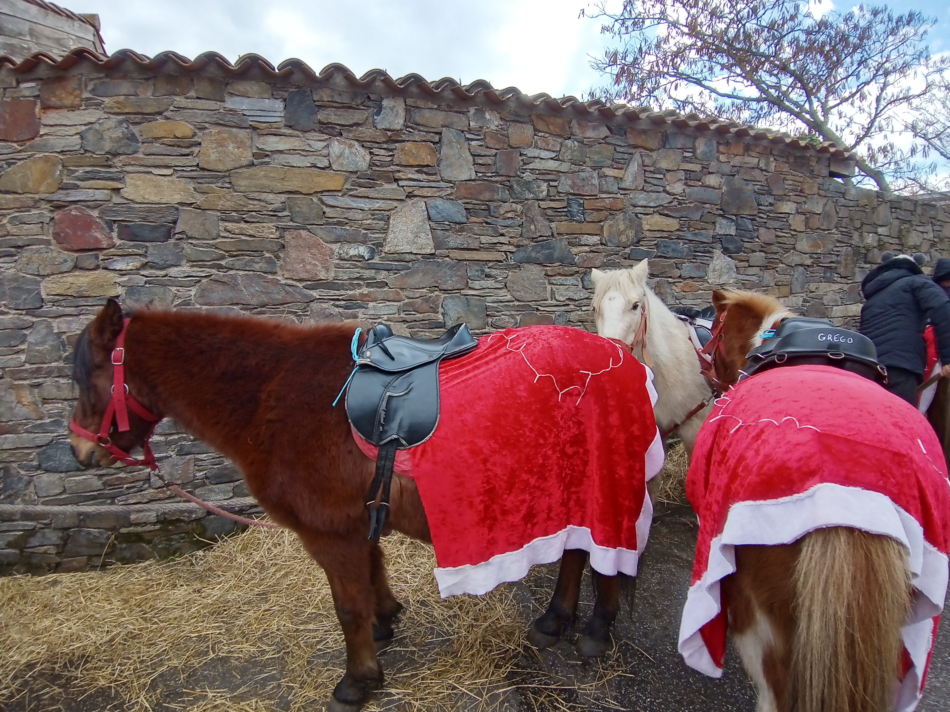 Photo n° 1 de l'avis de Thierry.e fait le 17/12/2022 à 13:52
