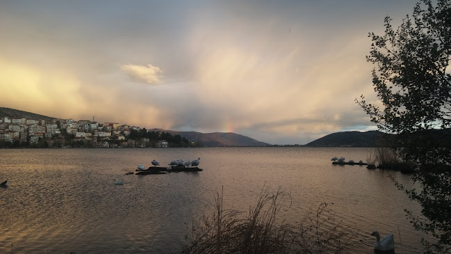 Αριθμός τηλεφώνου Maestro caffe