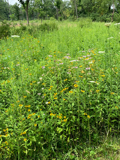 Learning Center «Sagawau Environmental Learning Center», reviews and photos, 12545 111th St, Lemont, IL 60439, USA