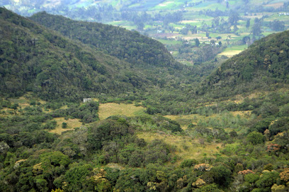 Parque Natural Municipal Guanachas
