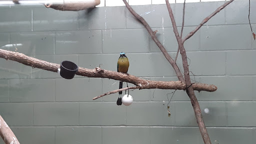 Zoo «Niabi Zoo», reviews and photos, 13010 Niabi Zoo Rd, Coal Valley, IL 61240, USA