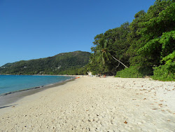 Valokuva Beau Vallonin Rantaista. ja asutus
