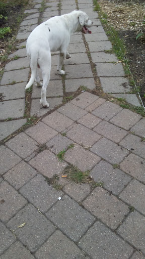 Northend Christian CDC