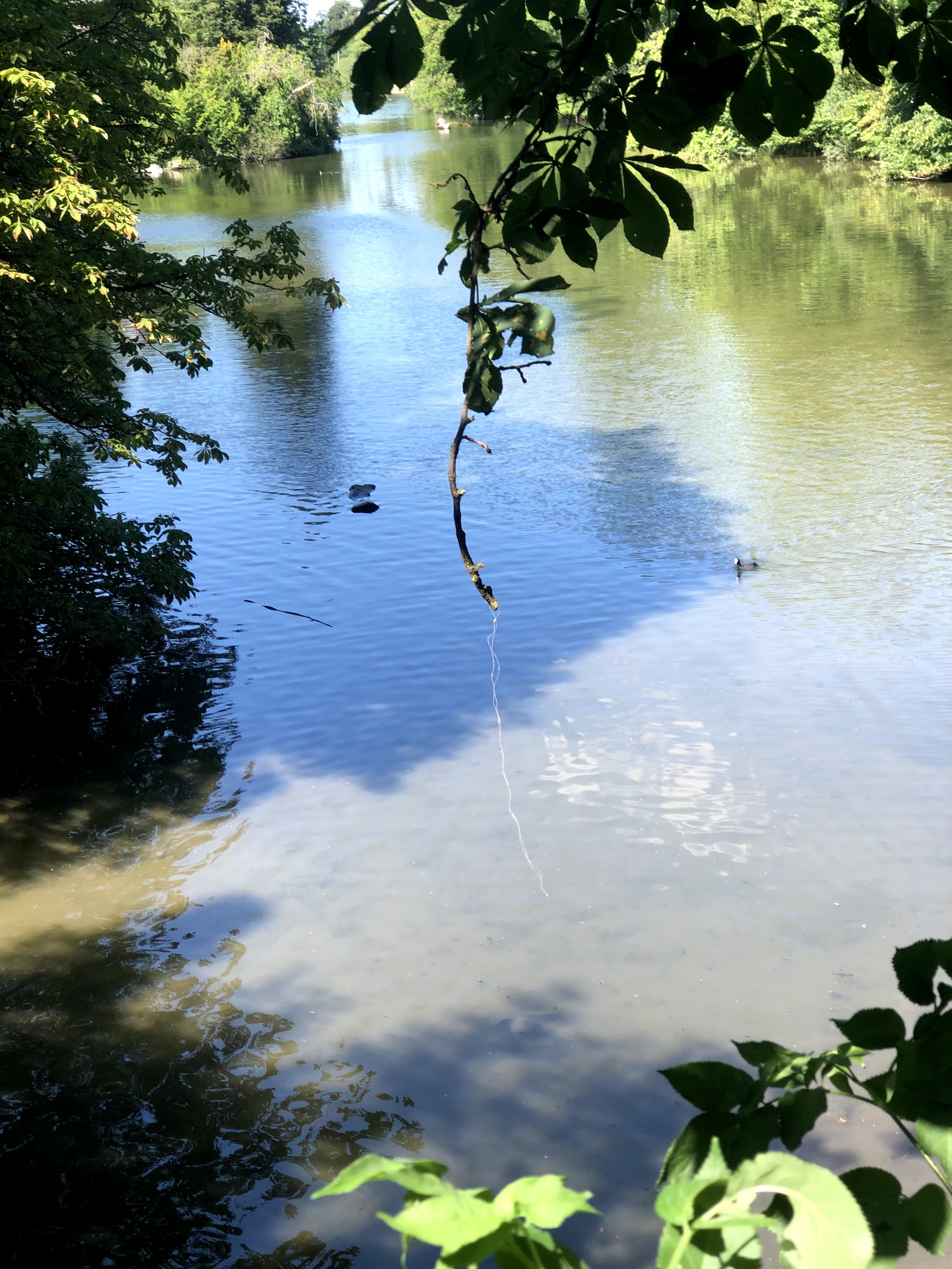 Photo n° 7 de l'avis de Nagireddy.o fait le 08/06/2020 à 16:07