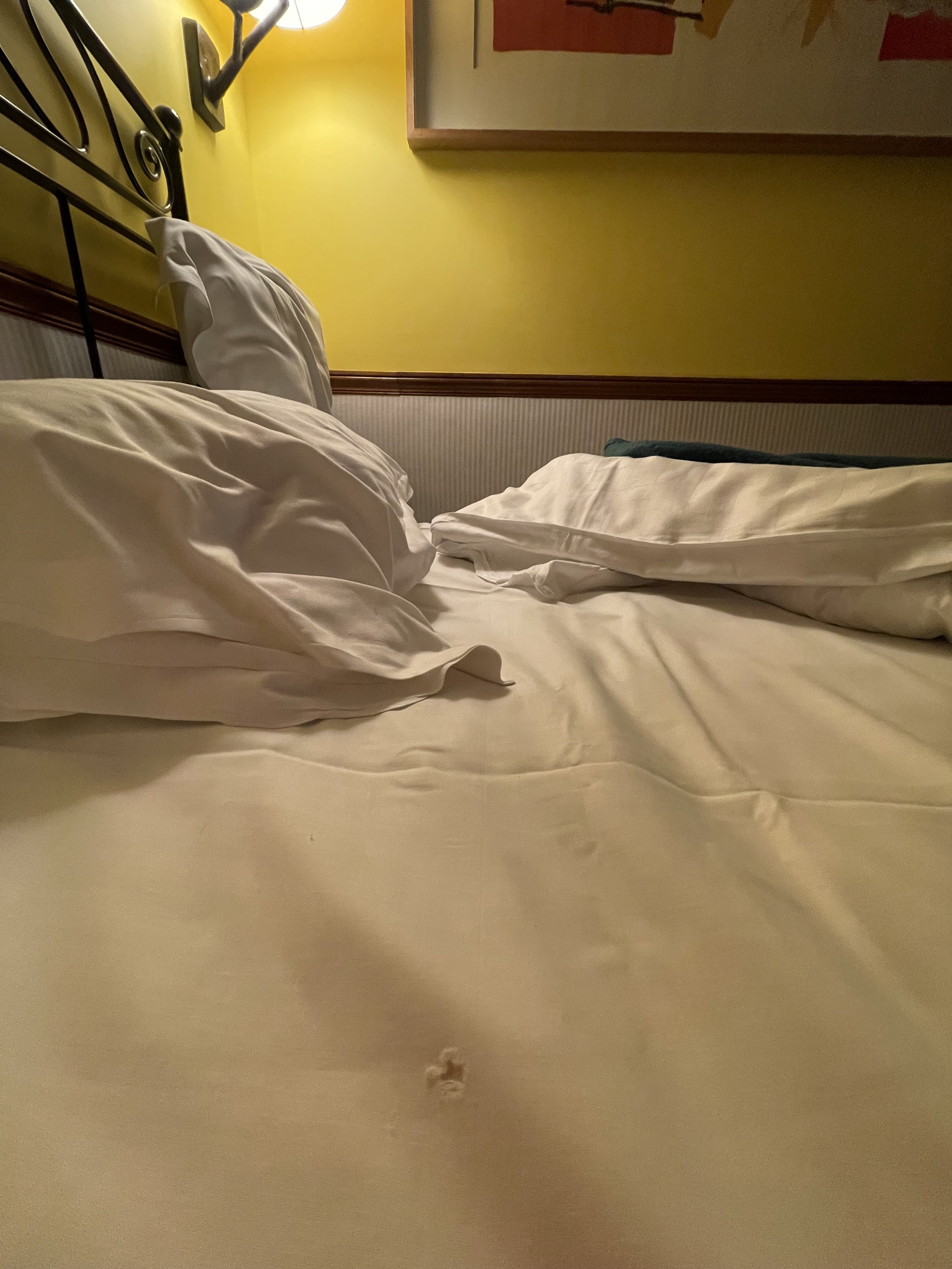 Photo n° 1 de l'avis de Jean.a fait le 13/12/2022 à 11:08