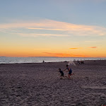 Photo n° 5 de l'avis de Dams. fait le 11/09/2022 à 20:55 pour L'Oyat-Plage à Le Grau-du-Roi